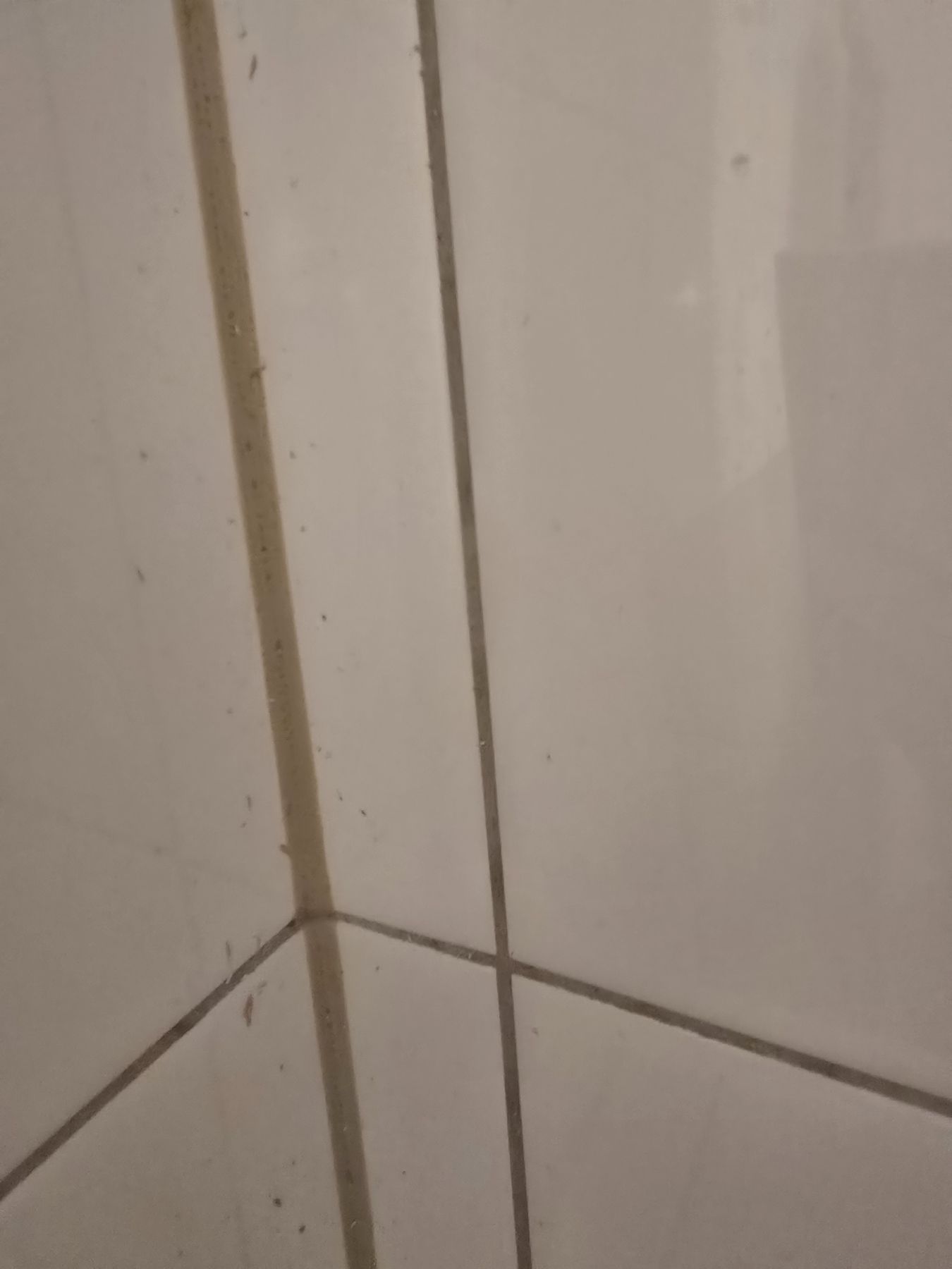 Detail einer Badezimmerfuge vor der Erneuerung